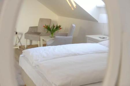 Penzion Vila Castanea 4